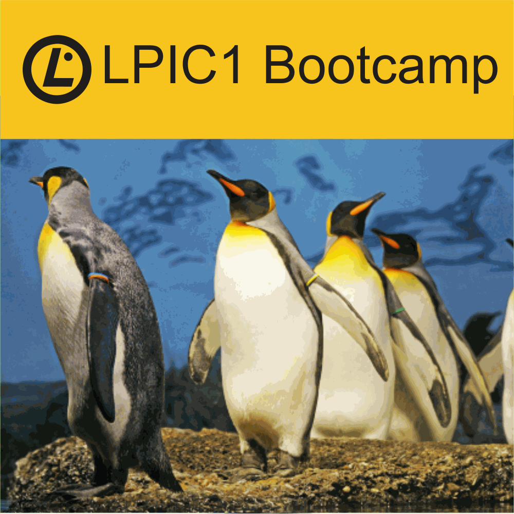 LPIC1 Bootcamp