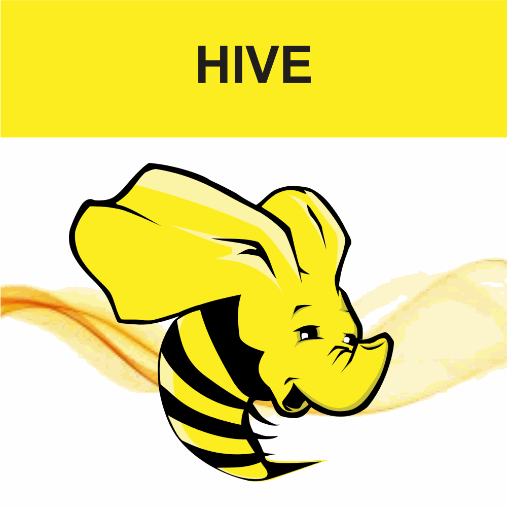 Hive Training