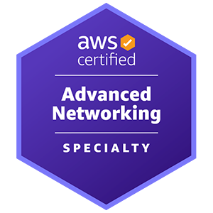 AWS (ANS-C01) Certified Advanced Networking - Specialty Exam