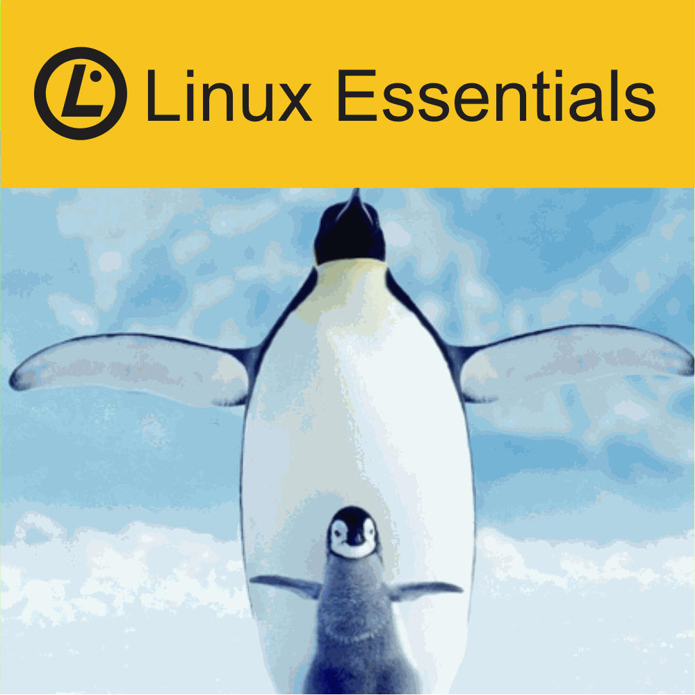 Linux Essentials Training