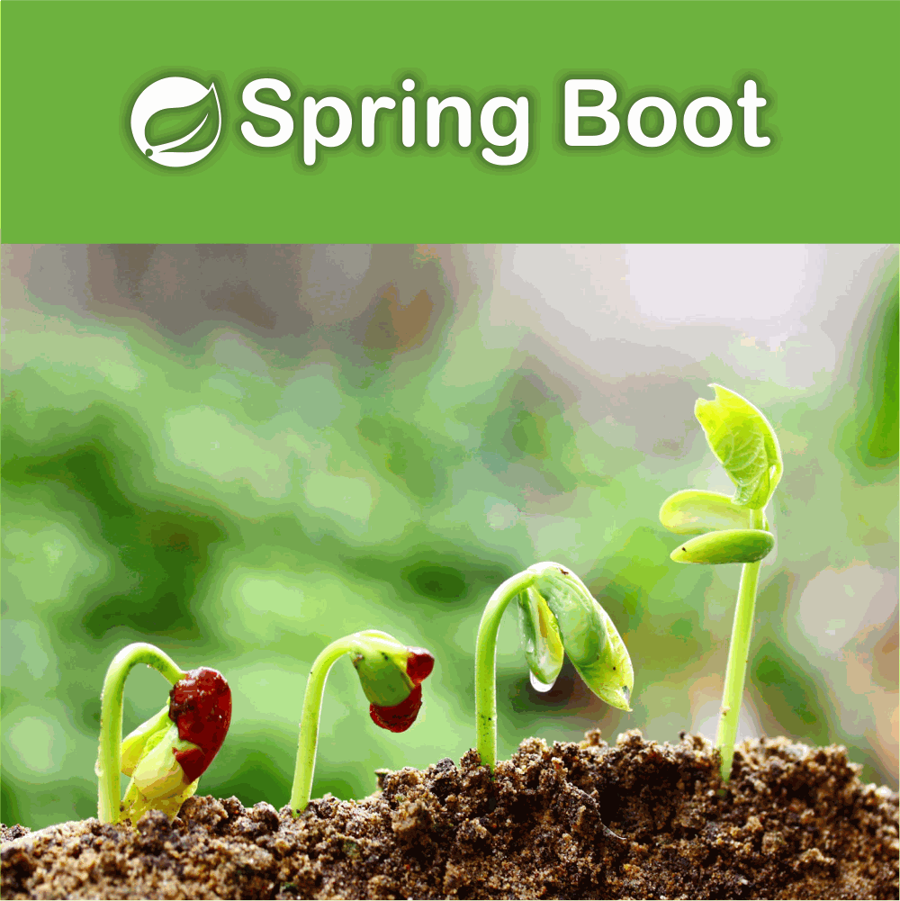 Spring Boot Training