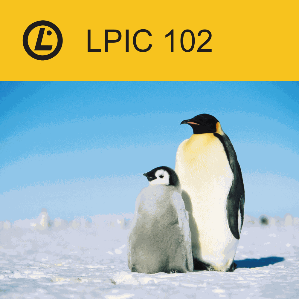 LPIC 102