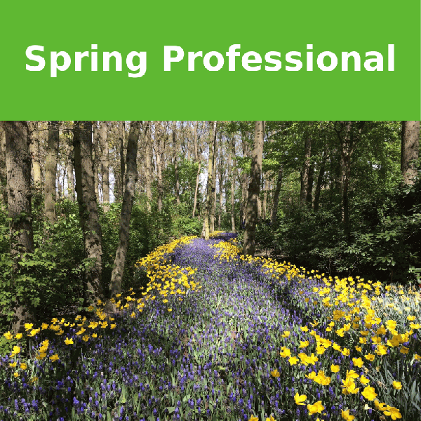 Spring Certified Professional Exam