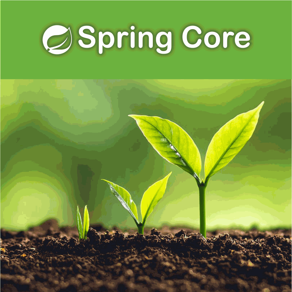Spring Core Training