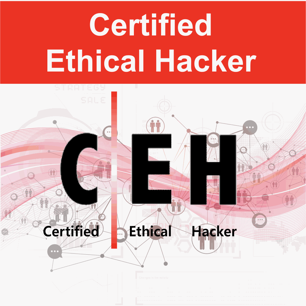 Certified Ethical Hacker (CEH)