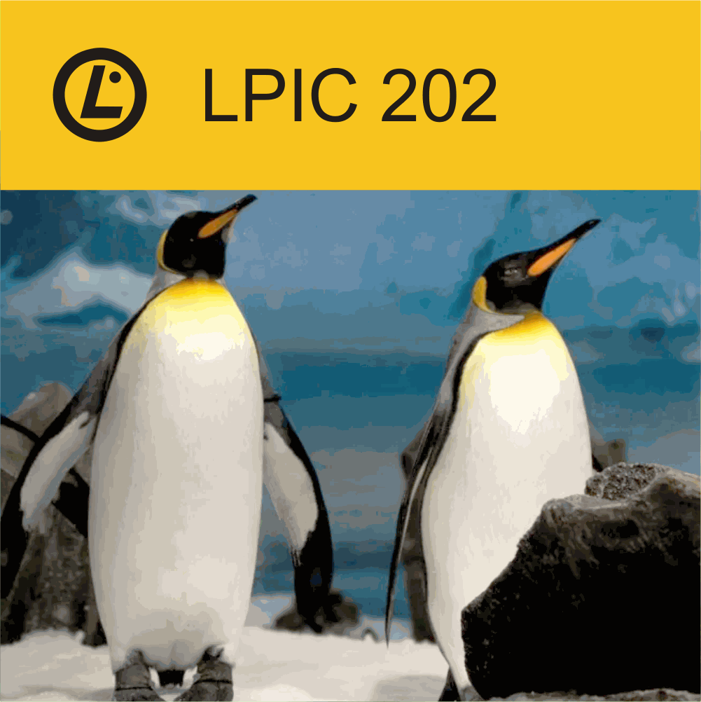 LPIC 202