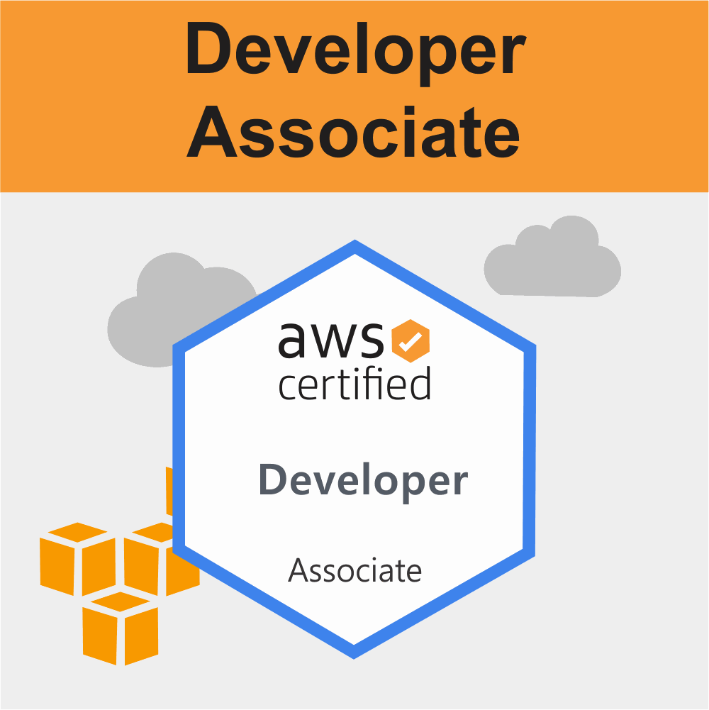 AWS Developer Associate Training