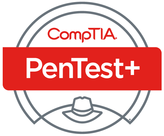 CompTIA PenTest+(PT0-002) Exam