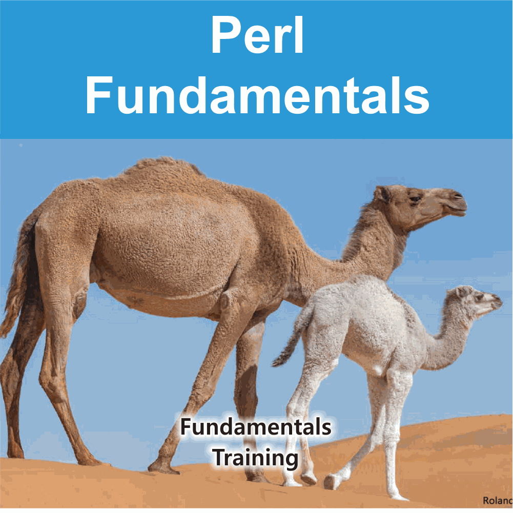 Perl Fundamentals Training