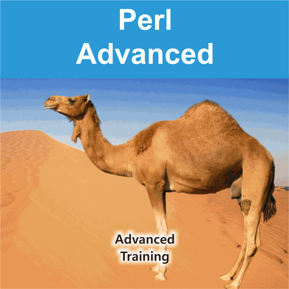 Perl Advanced Training